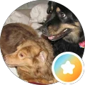 Carie Dippel Avatar